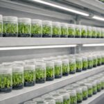 whatsapp image 2026 02 06 at 22.48.51