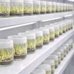 whatsapp image 2026 02 06 at 23.15.01