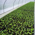 whatsapp image 2026 02 06 at 23.19.32