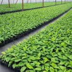 whatsapp image 2026 02 06 at 23.35.16