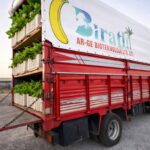 whatsapp image 2026 02 07 at 00.01.55